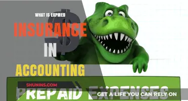 Understanding Expired Insurance: An Accounting Perspective