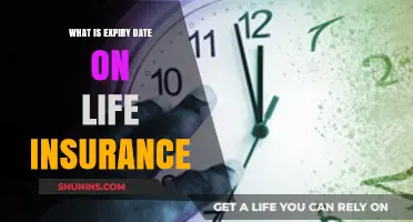 Understanding Expiry Dates: Life Insurance's Time Limits