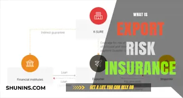 Understanding Export Risk Insurance: Protecting Your Business Globally