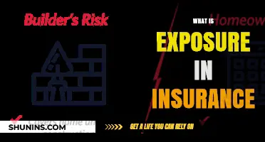 Understanding Exposure in Insurance: Key Concepts and Risk Management