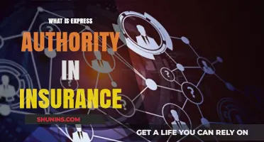 Understanding Express Authority in Insurance: Key Concepts and Applications