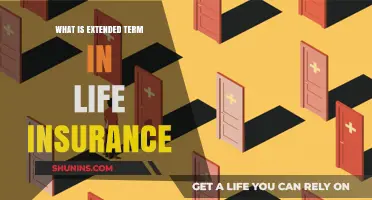 Understanding Extended Term Life Insurance: A Comprehensive Guide