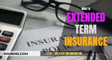 Understanding Extended Term Insurance: Unlocking the Benefits of Long-Term Coverage