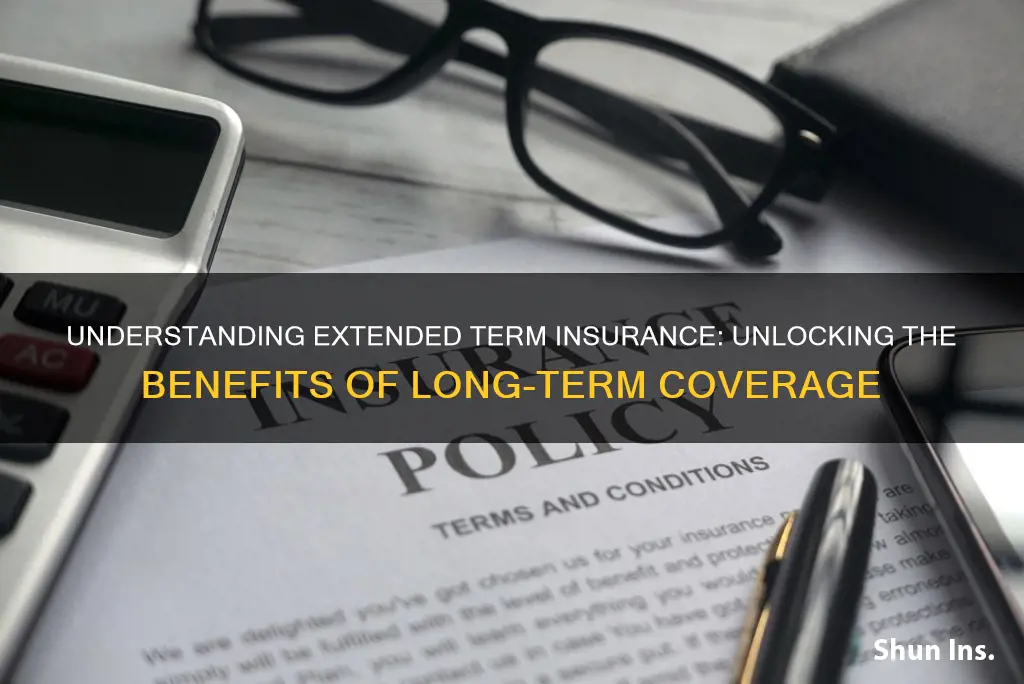 what is extended term insurance