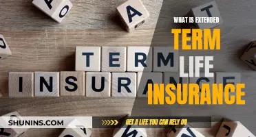 Extended Term Life Insurance: What You Need to Know