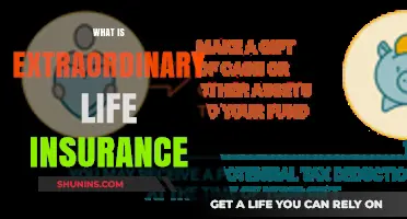 Uncover the Secrets: Extraordinary Life Insurance Explained