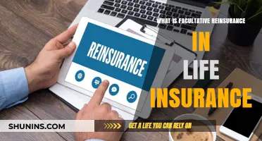 Understanding Facultative Reinsurance: A Comprehensive Guide for Life Insurance