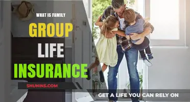 Understanding Family Group Life Insurance: A Comprehensive Guide