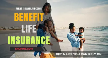 Understanding Family Income Benefit Life Insurance: A Comprehensive Guide