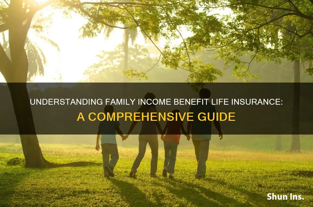 what is family income benefit life insurance