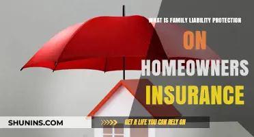 Liability Protection: Insuring Your Family's Future