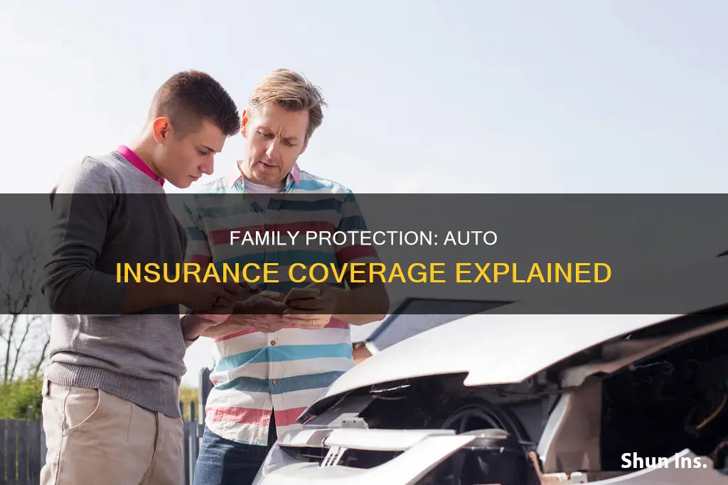 what is family protection coverage auto insurance