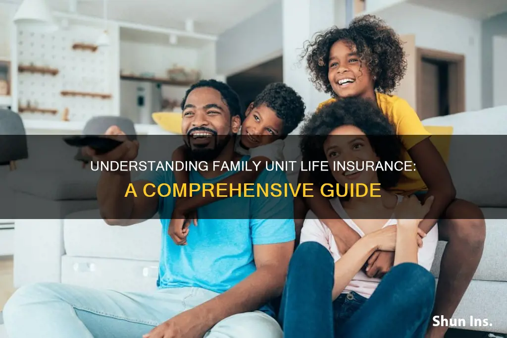 what is family unit life insurance