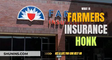 Farmers Insurance Honk: The Sound of Reliable Roadside Assistance