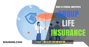 Understanding Federal Employees Group Life Insurance: A Comprehensive Guide