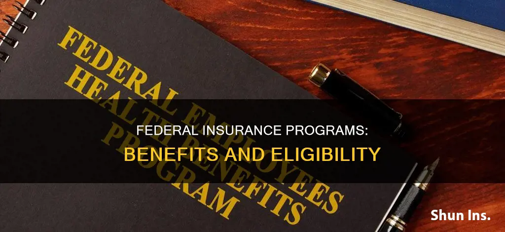 what is federal government insurance program