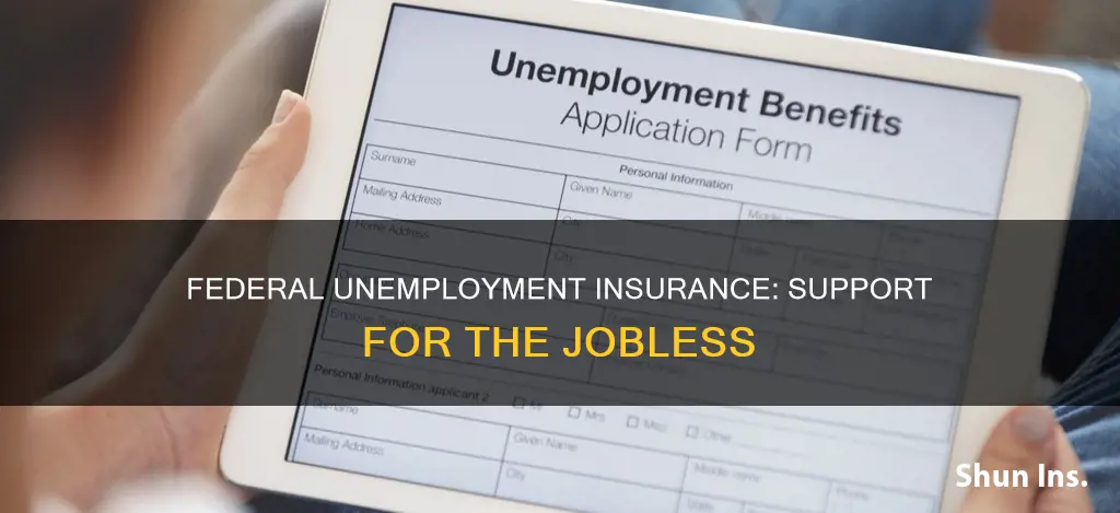 what is federal unemplyment insurance