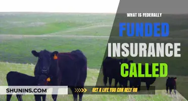 Insurance Coverage: Federal Funding and You