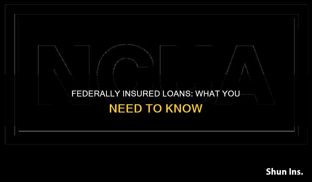 what is federally insured loan