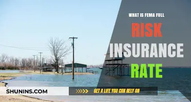 FEMA's Full Risk Insurance: Rates and What They Mean