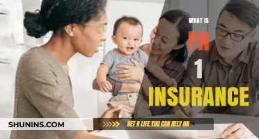 Understanding FH-1 Insurance: What You Need to Know