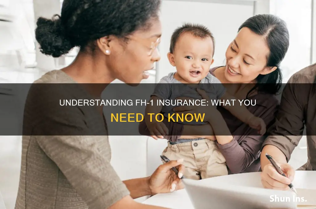 what is fh 1 insurance