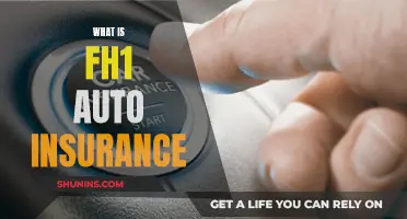 Understanding FH1 Auto Insurance: What You Need to Know