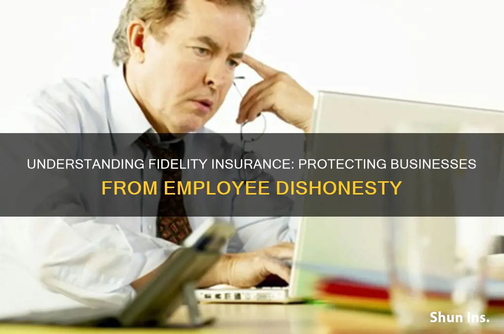 what is fidelity insurance