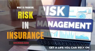 Understanding Financial Risk in Insurance: A Guide