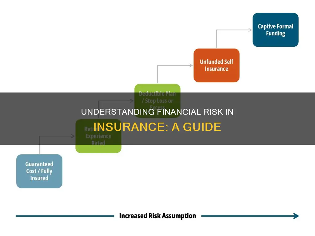 what is financial risk in insurance