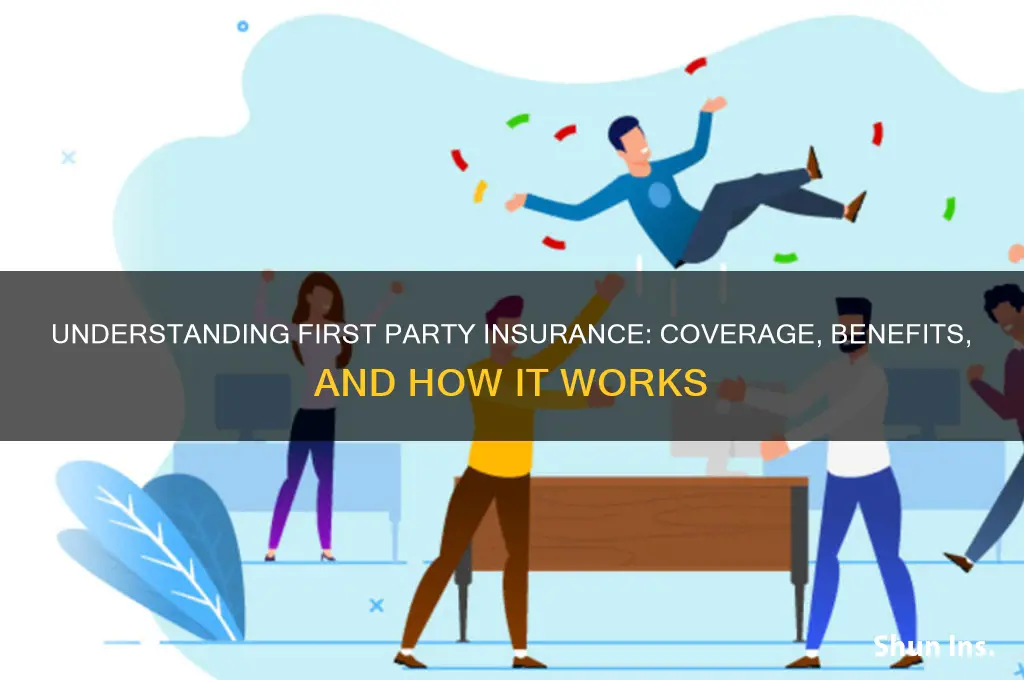 what is first party insurance