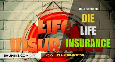 Unraveling the Mystery: What's First to Die in Life Insurance?