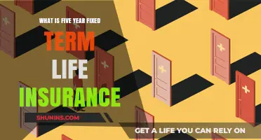 Understanding Five-Year Fixed Term Life Insurance: A Comprehensive Guide