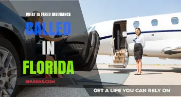 Florida's Fixed Insurance: What You Need to Know