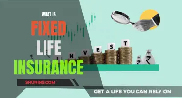 Fixed Life Insurance: What You Need to Know