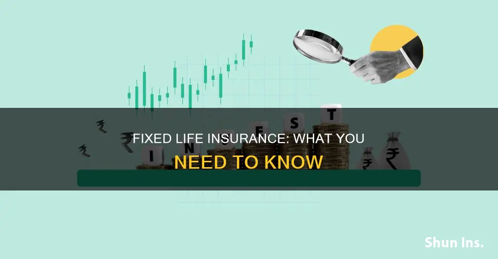 what is fixed life insurance