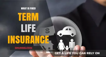 Understanding Fixed Term Life Insurance: A Comprehensive Guide