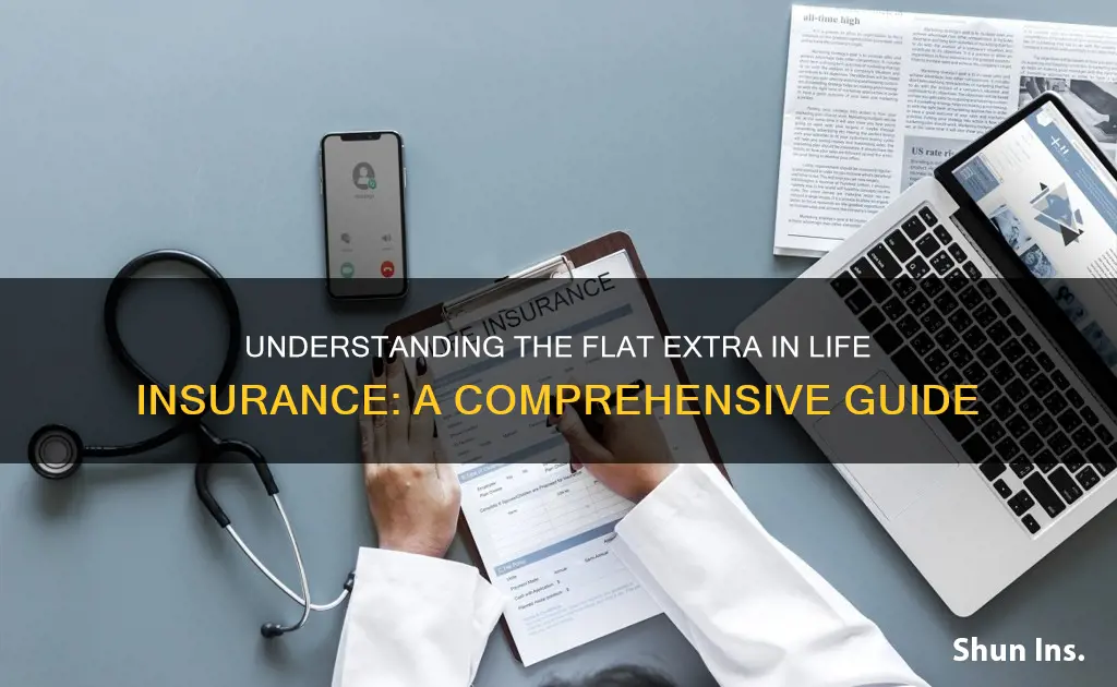 what is flat extra in life insurance