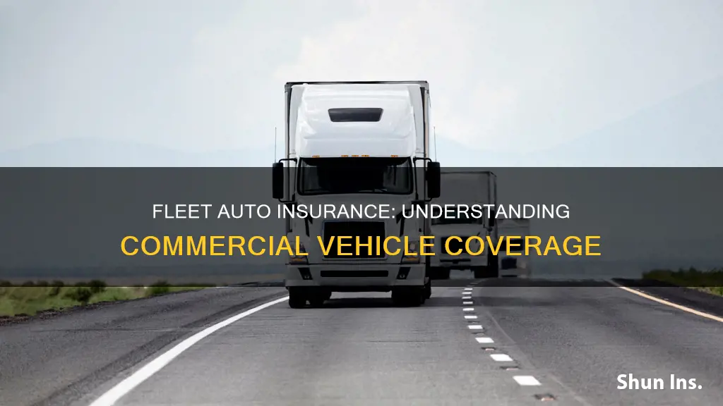 what is fleet auto insurance