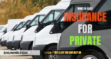 Fleet Insurance: Private Coverage for Your Business Vehicles