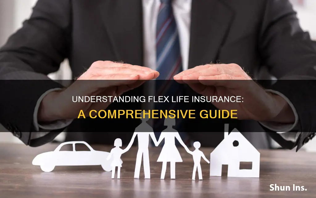 what is flex life insurance