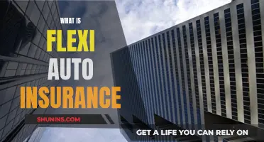 Flexi Auto Insurance: The Flexible Coverage You Need