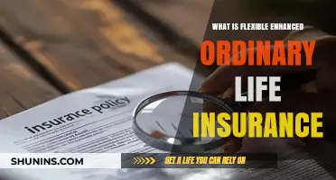 Unraveling the Mystery: Understanding Flexible Enhanced Ordinary Life Insurance