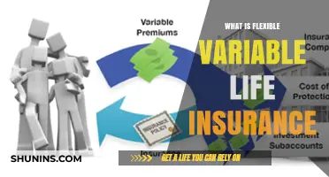 Unraveling the Mystery: Understanding Flexible Variable Life Insurance