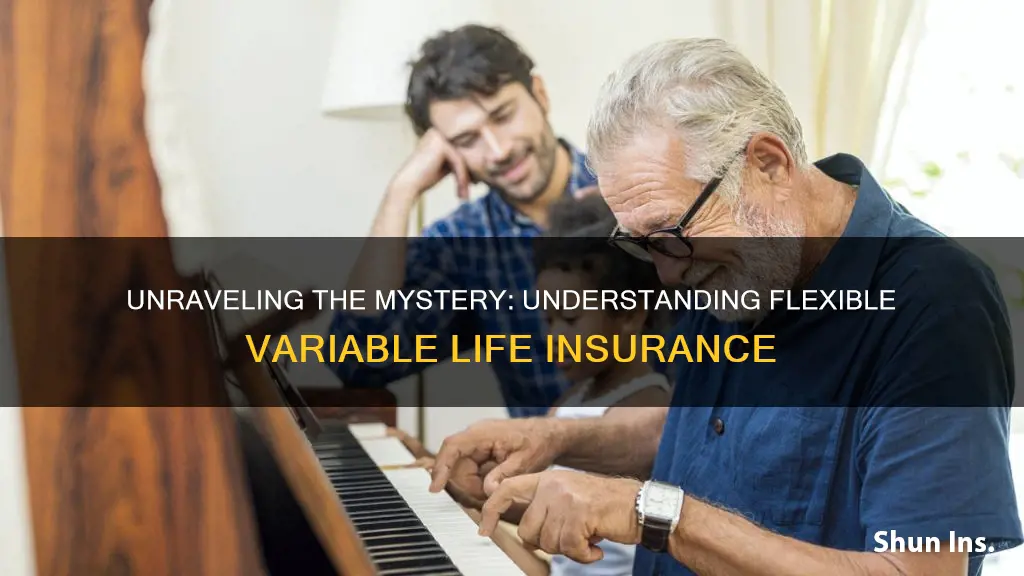 what is flexible variable life insurance