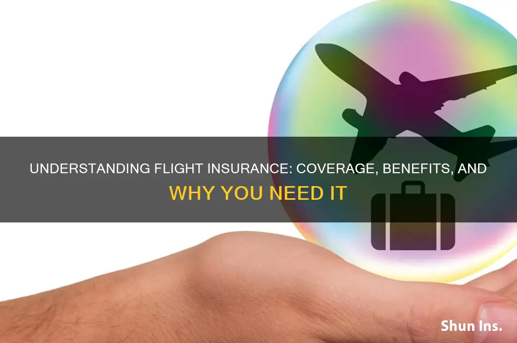 what is flight insurance