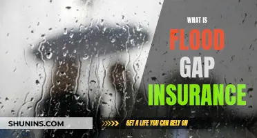 Flood Gap Insurance: Protecting Your Home