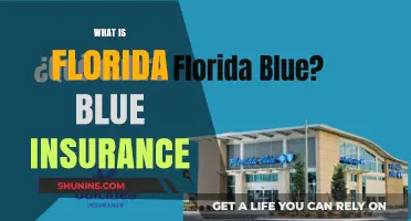 Florida Blue Insurance: What You Need to Know
