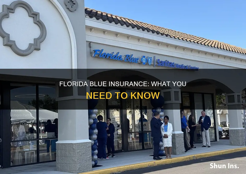 what is florida blue insurance