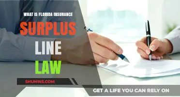 Understanding Florida's Surplus Insurance Line Law